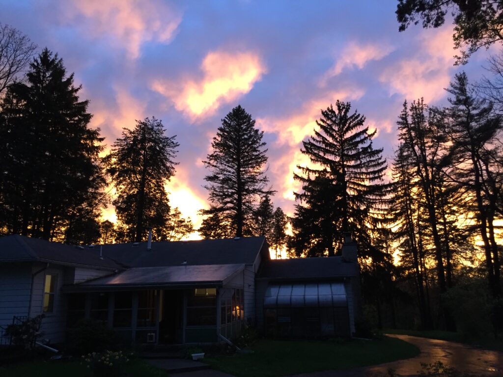 A picture of the rear of a ranch-style house and many tall pines silhouetted against an orange and purple cloudy sky.